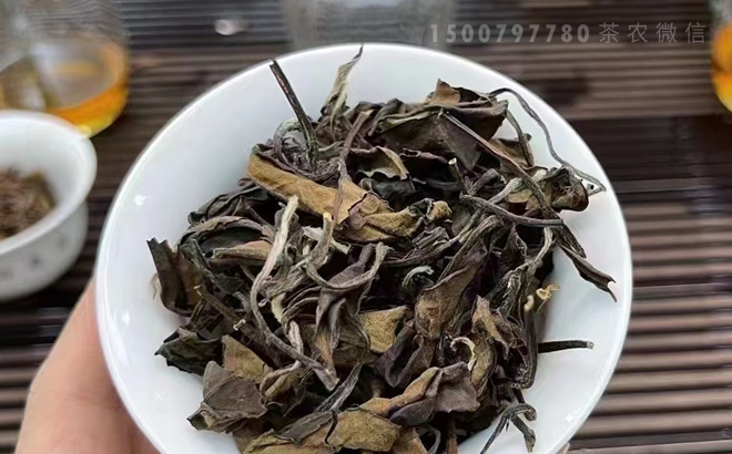 为什么白茶的口感比岩茶和红茶淡？