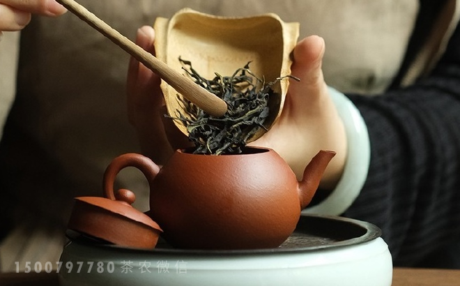 凤凰单丛茶香气丰富的原因(茶园环境、茶树品种、工艺)