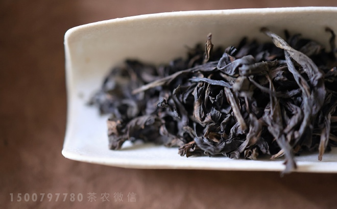 岩茶的品种(种类)