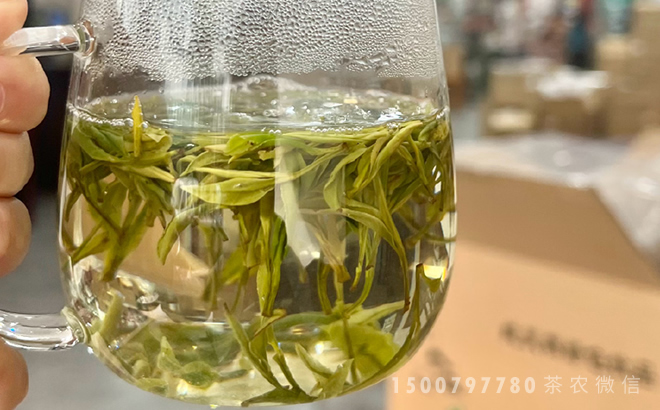 中国茶道瑰宝:黄山毛峰的香韵与品质